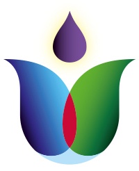 Logo ANDREA MEIER